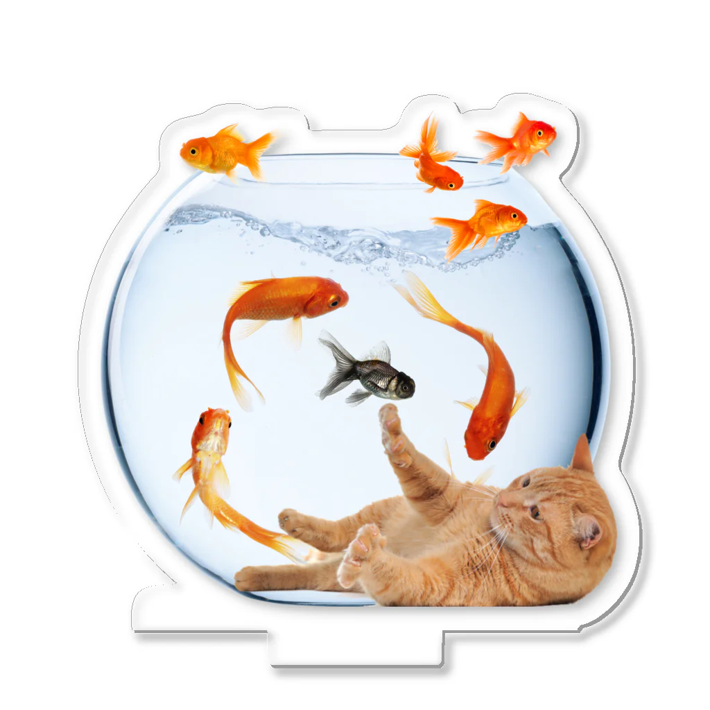 𝙈𝙊𝙈𝙊'𝙨 𝙎𝙝𝙤𝙥の金魚鉢 Acrylic Stand