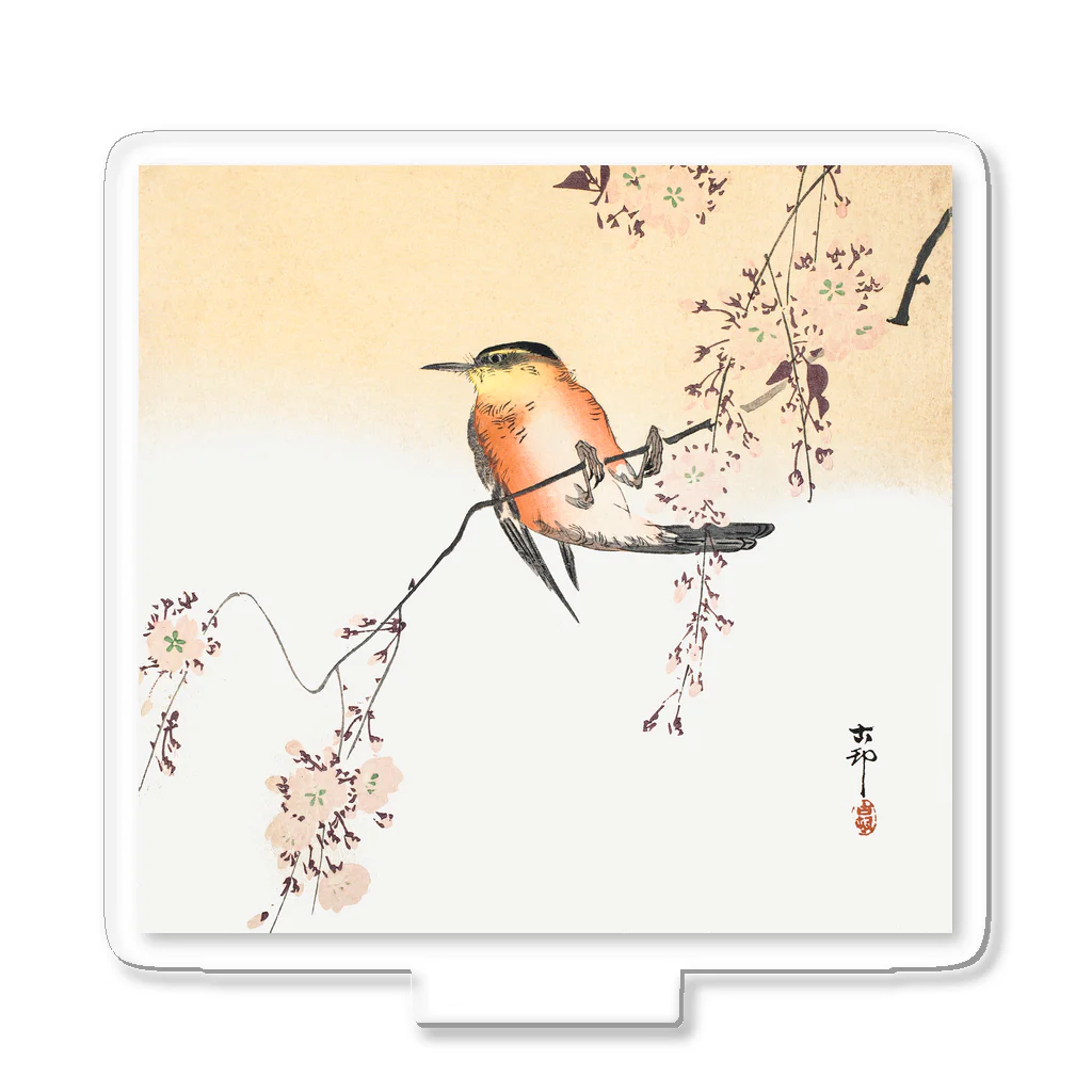 MUGEN ARTの小原古邨　桜と鳥　Ohara Koson 日本のアートTシャツ＆グッズ Acrylic Stand