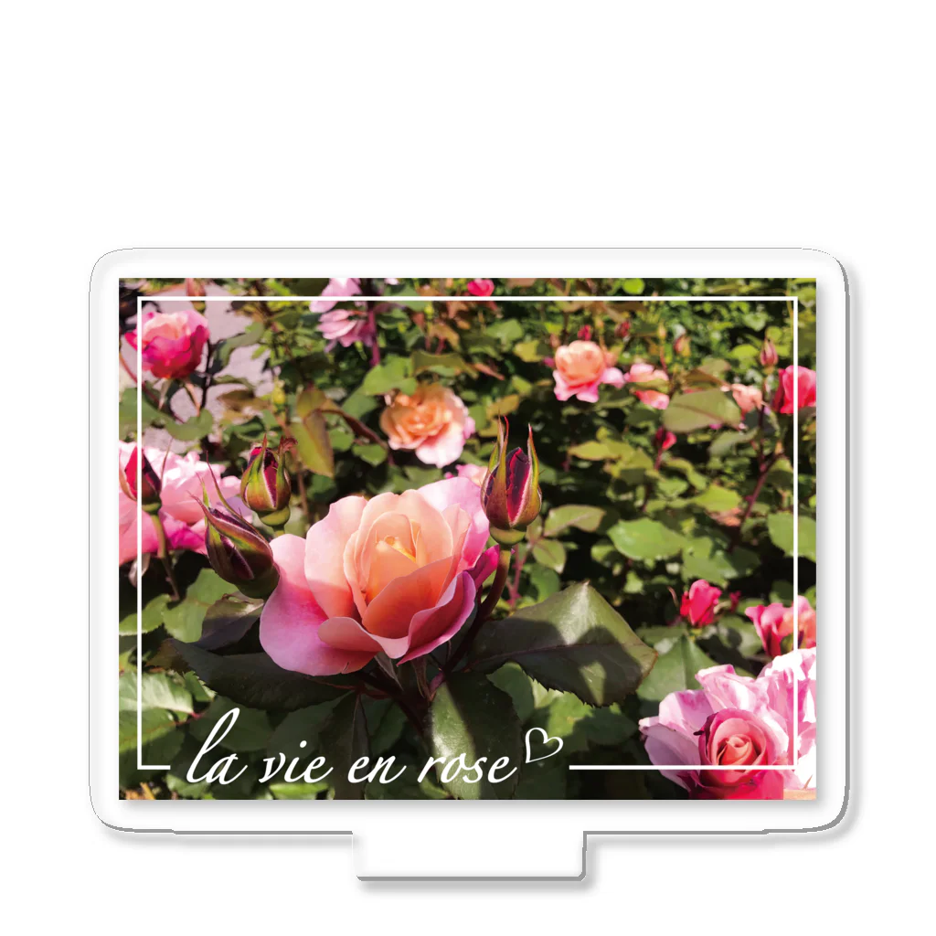 rose_queryのLa Vie en rose Ⅱ Acrylic Stand