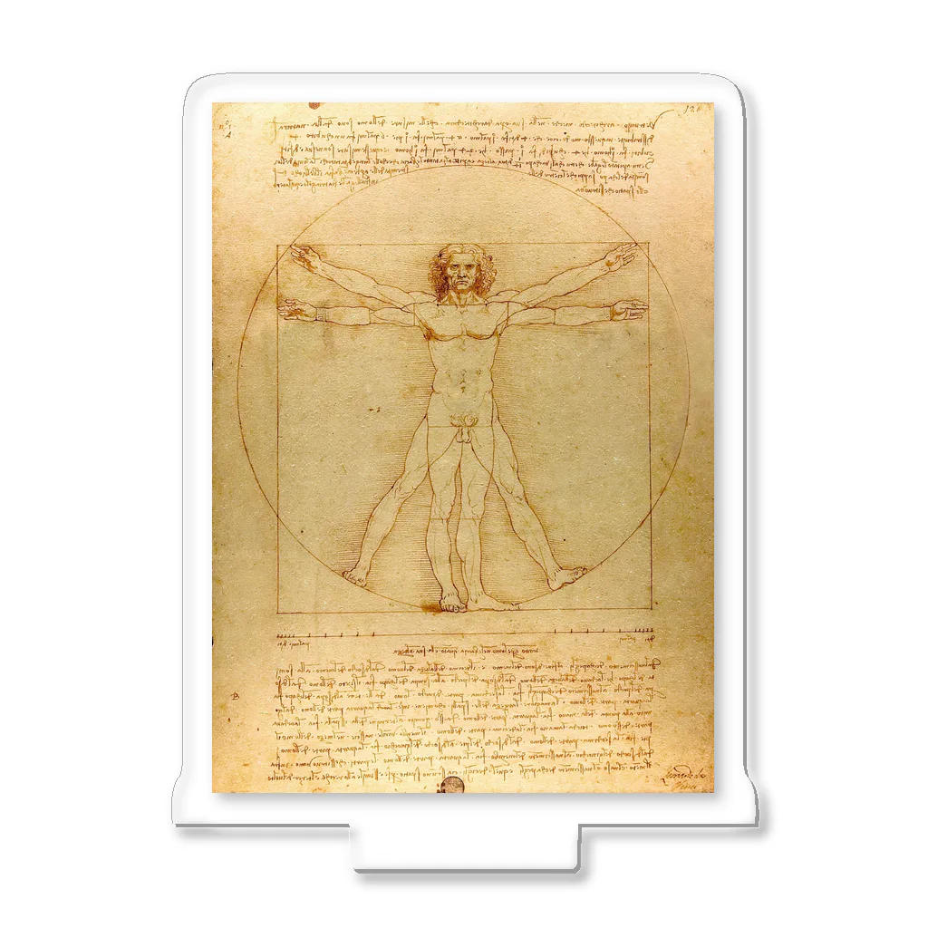 世界美術商店のウィトルウィウス的人体図 / Vitruvian Man Acrylic Stand