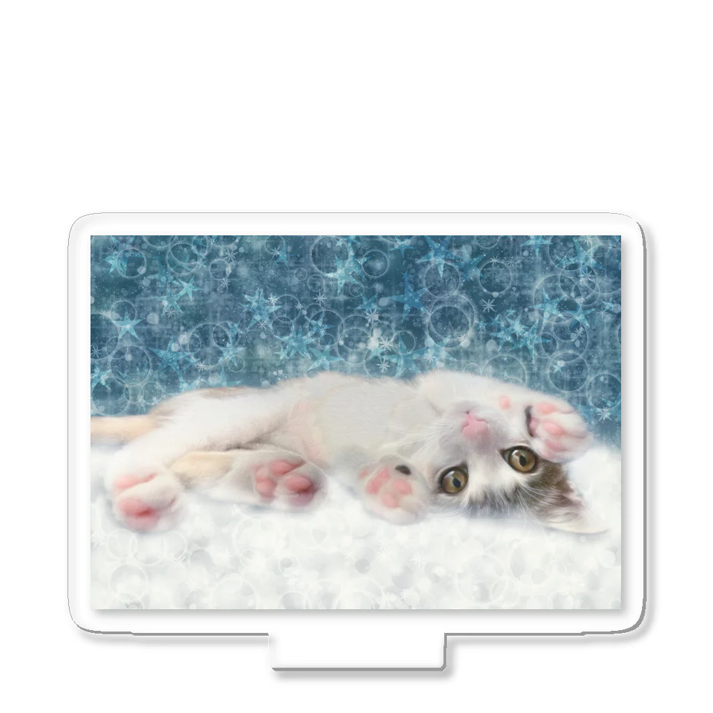 MUYU /  Animal Artistのゆき遊び - NIGHT SKY - Acrylic Stand