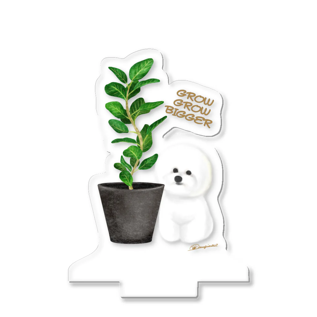 omuginoco.の植物と犬（ビションフリーゼ） Acrylic Stand