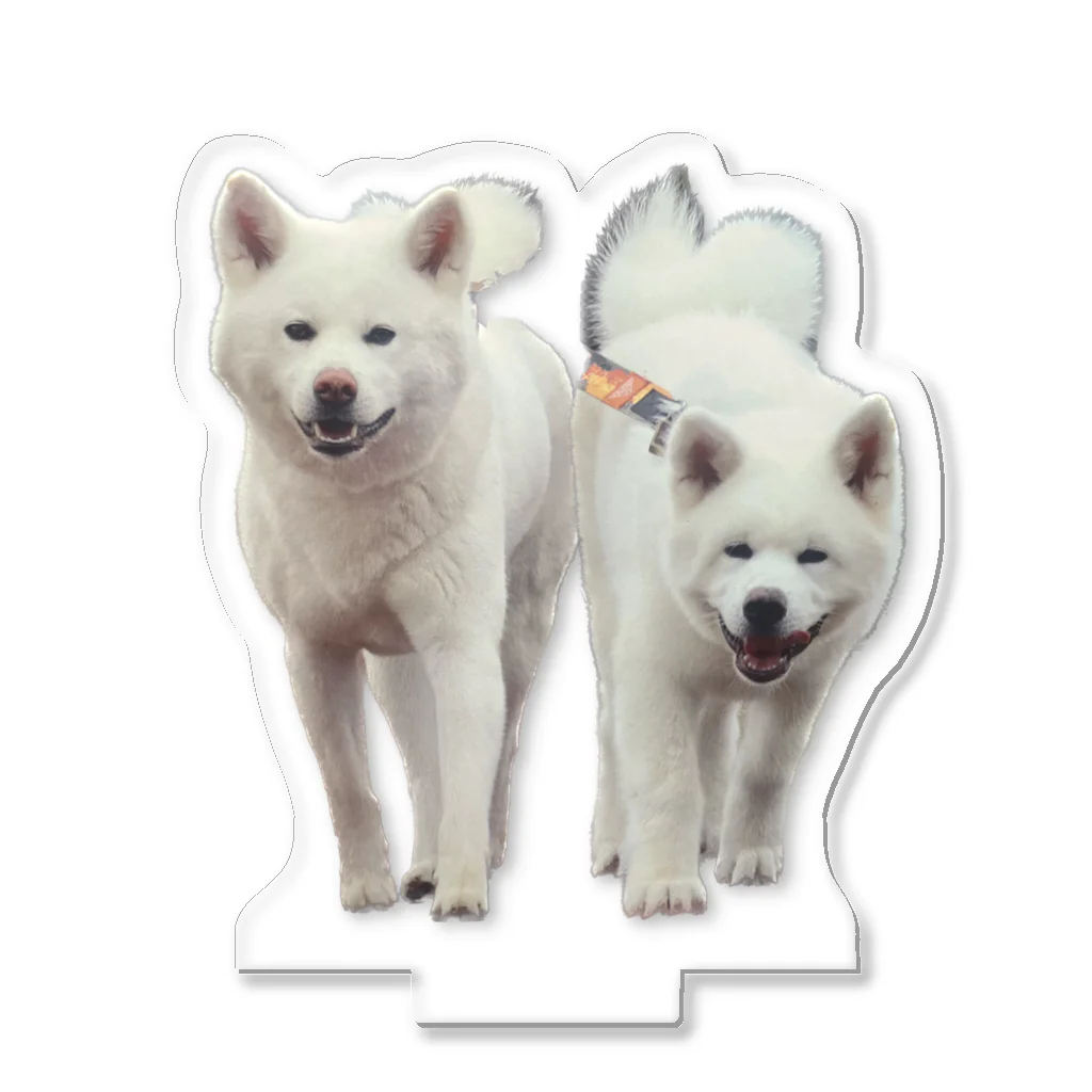 梅子&白岳の梅白コラボ Acrylic Stand