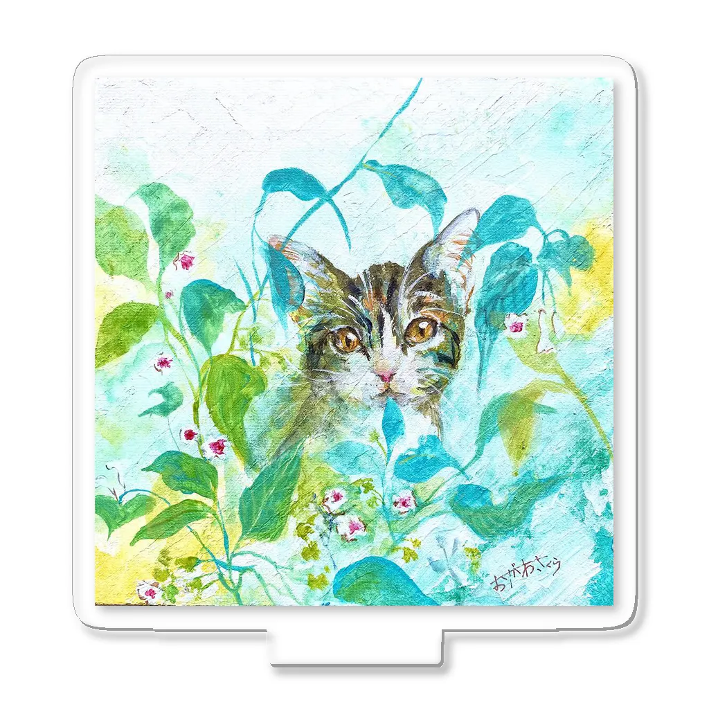 動植物絵描き屋　ogawa sakuraの夏ねこ アクリルスタンド