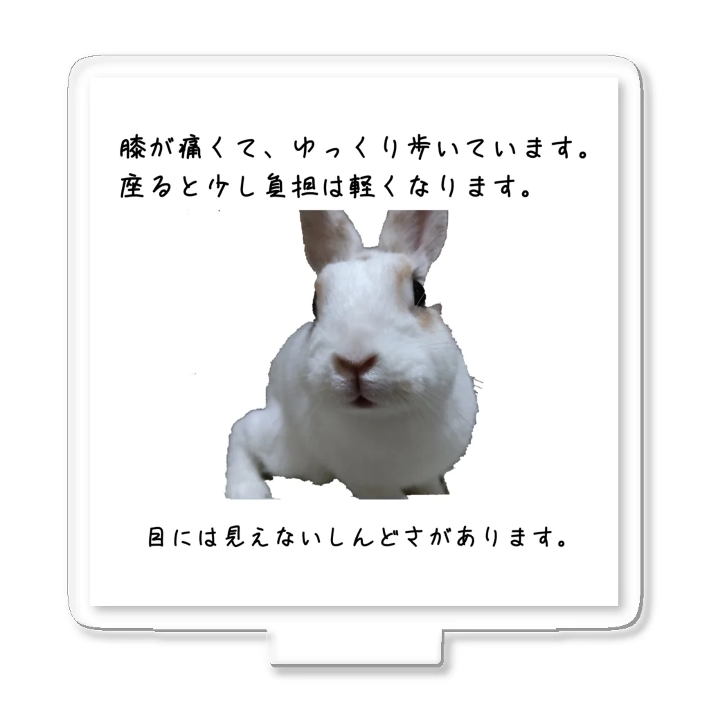 えり🐰らてましゅ🐰絵本出版中の膝痛いラテちゃん アクリルスタンド