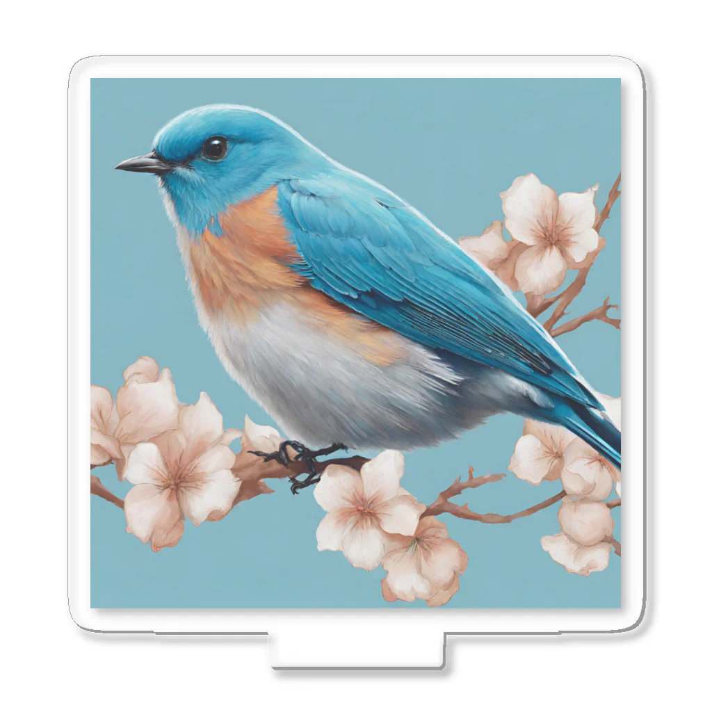 ❤︎cute❤︎のbeautiful blue bird アクリルスタンド