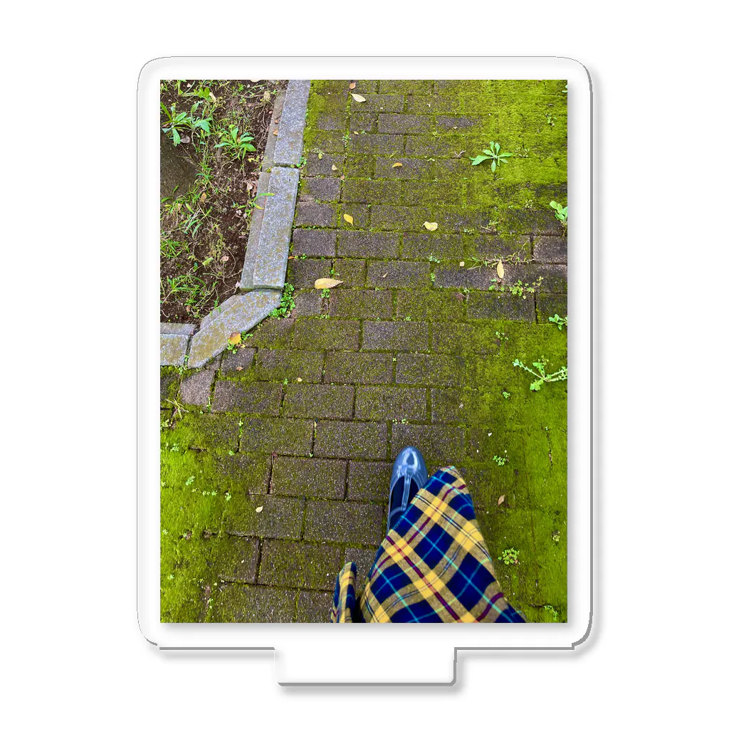 moon💎✨の「苔路散歩🌿🍃」の写真📷 アクリルスタンド