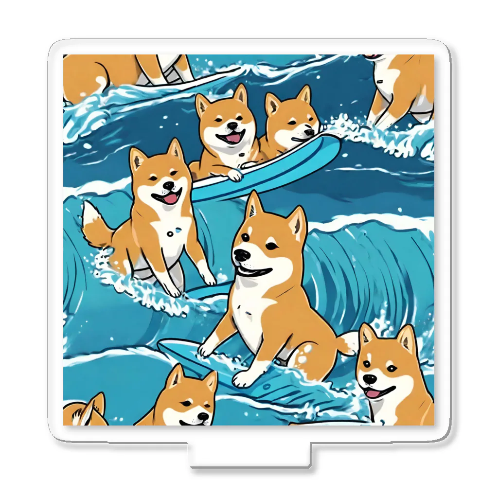 春夏秋冬。のサーフィンをする柴犬。 アクリルスタンド