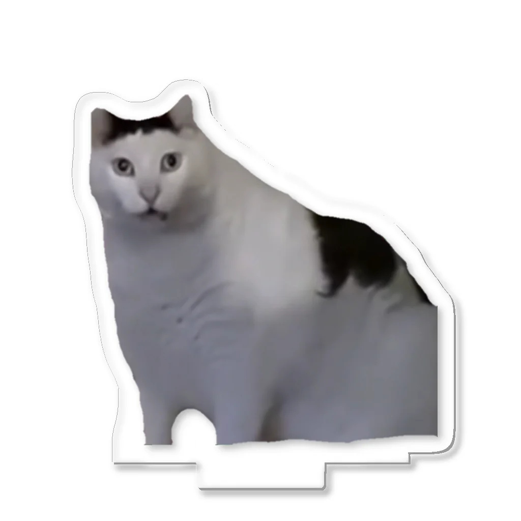 猫ミー厶 はぁ？ / kiyo123456789のアクリルスタンド通販