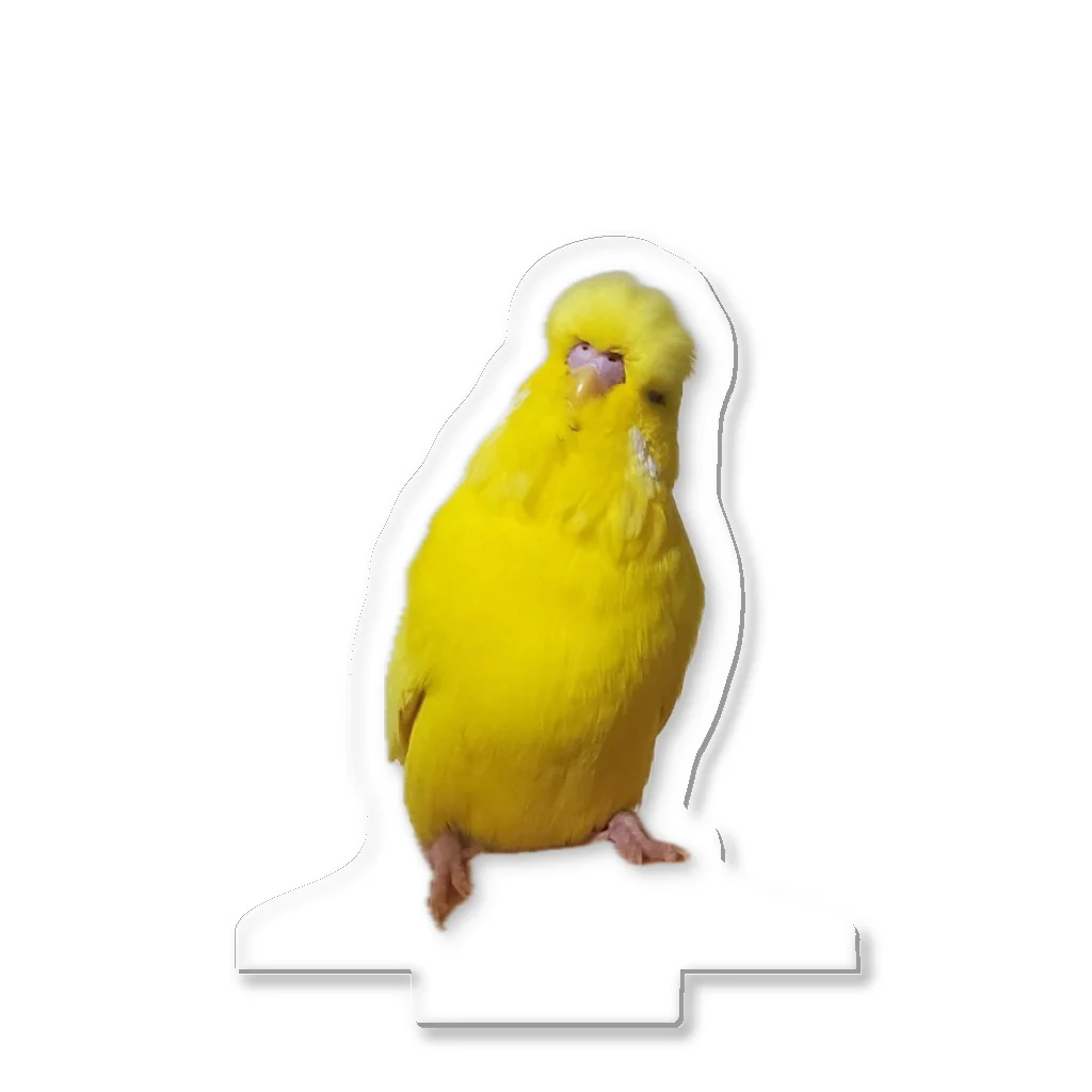 s301149のジャンボセキセイインコ Acrylic Stand