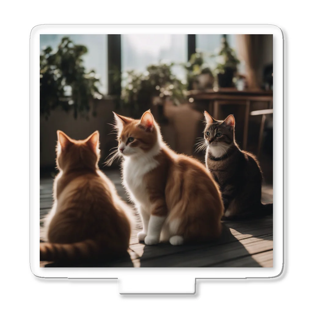 野良猫たちを助け隊の3匹の猫 アクリルスタンド