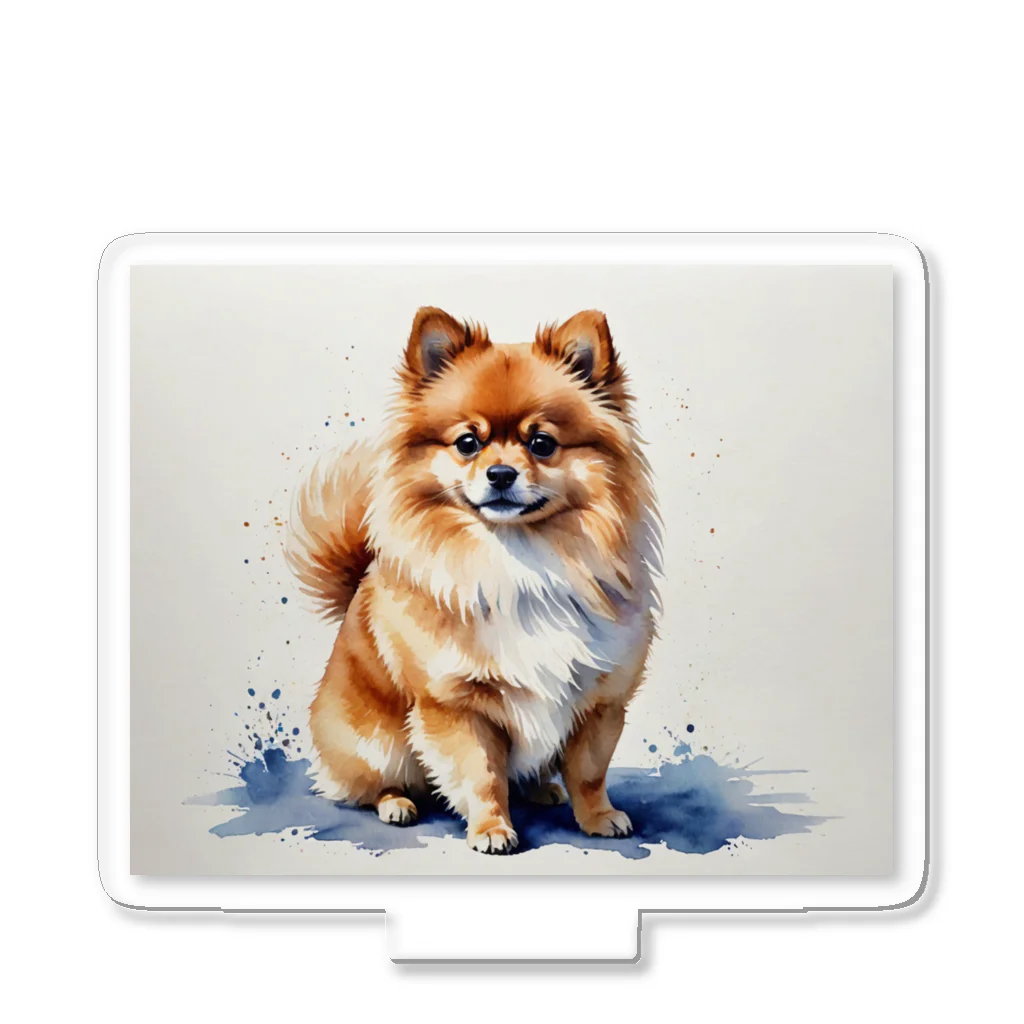 Animal Illustration shopのポメラニアン　Pomeranian　水彩画風 Acrylic Stand