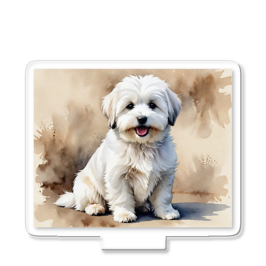 Animal Illustration shopのコトン・ド・テュレアール　Coton de Tulear　水彩画風 アクリルスタンド