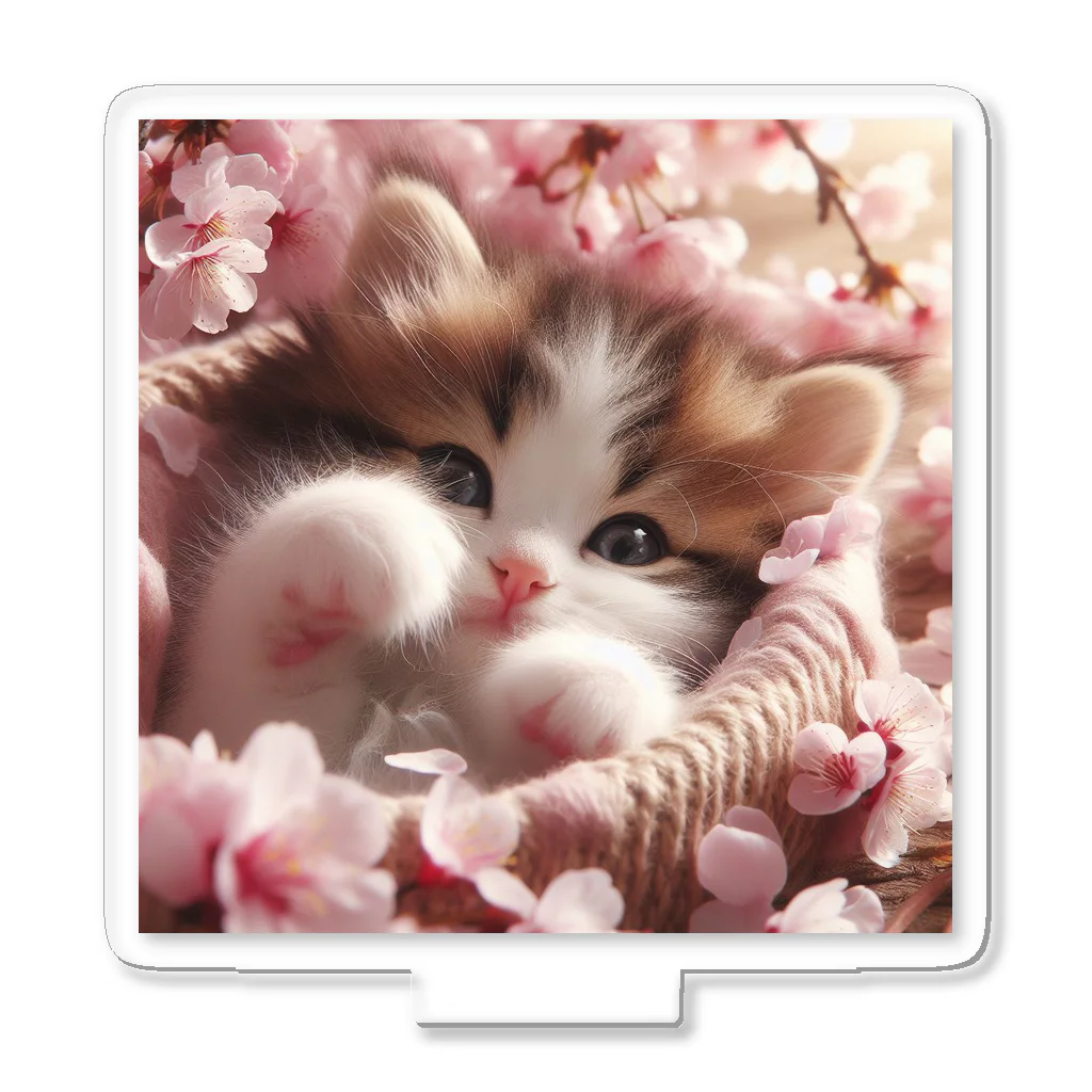 Chimetimeの桜と子猫 アクリルスタンド