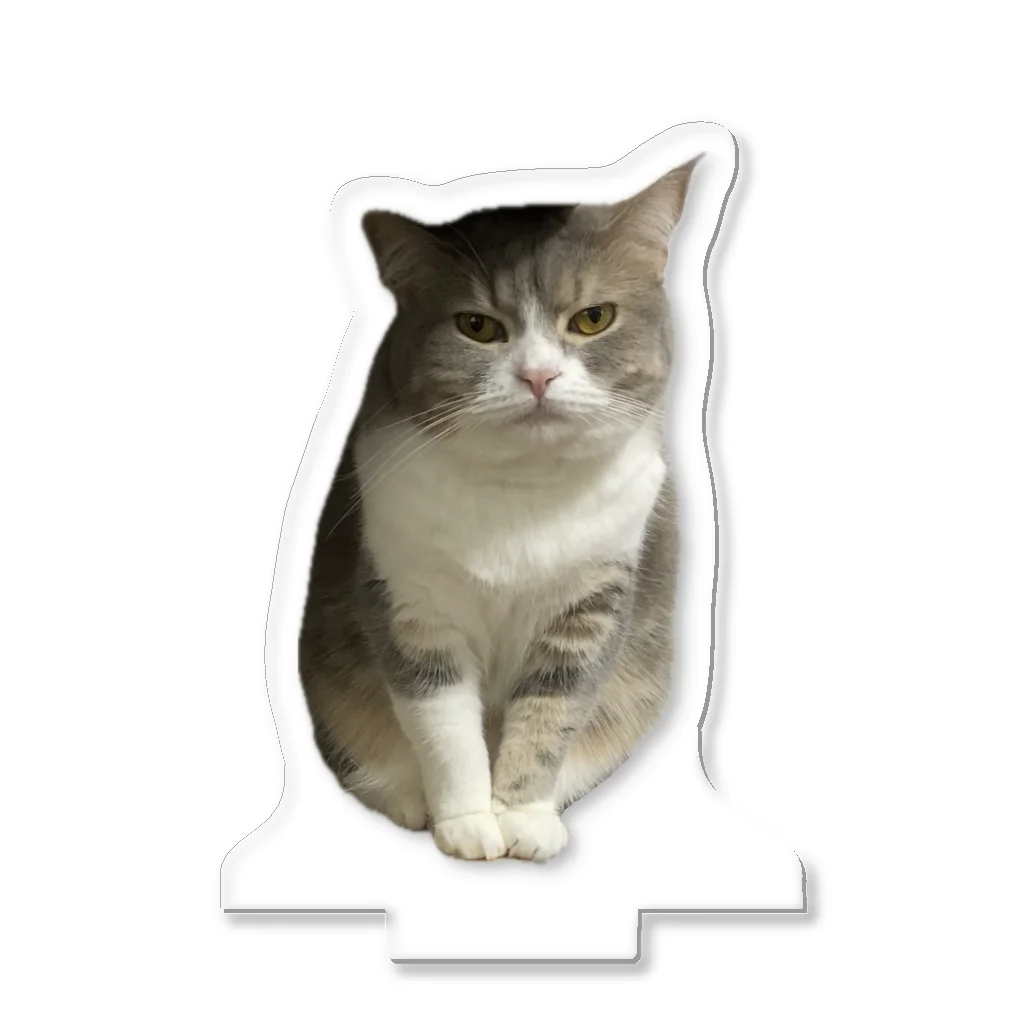 むっちり猫のむっちり丸の不機嫌な美猫 ミロ姫 Acrylic Stand