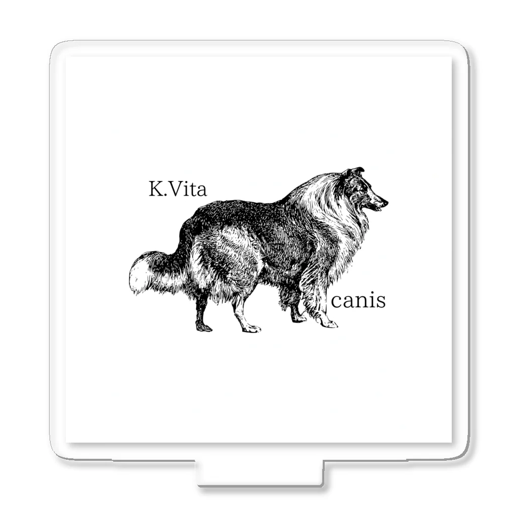 K.Vitaの犬＝安産祈願 Acrylic Stand