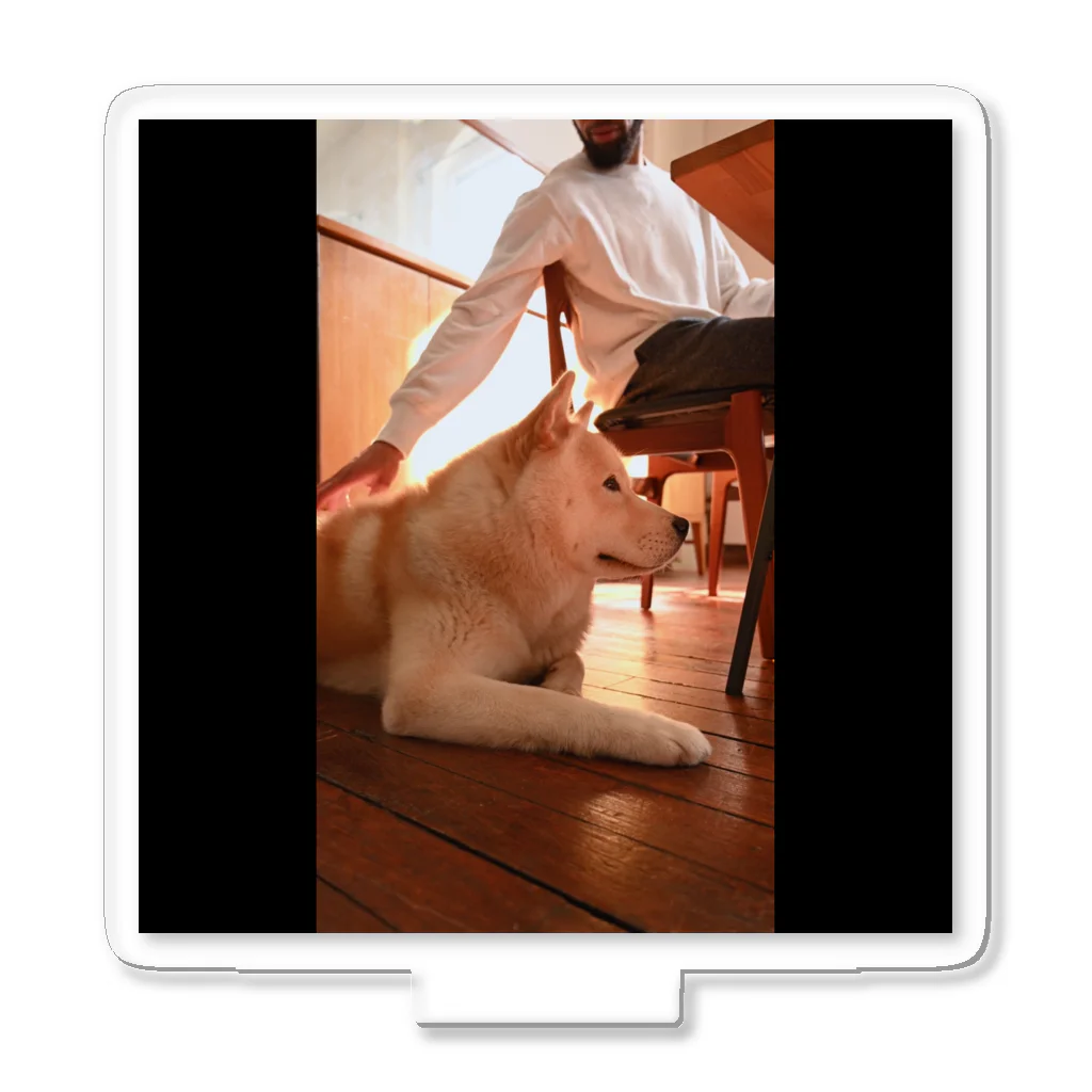 kaerinofficeの大好きな犬と一緒に撮った忠実な写真🐾 Acrylic Stand