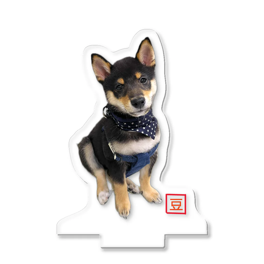 うたた寝の🐾豆柴BOY🐾 世界中で愛される柴犬 Acrylic Stand