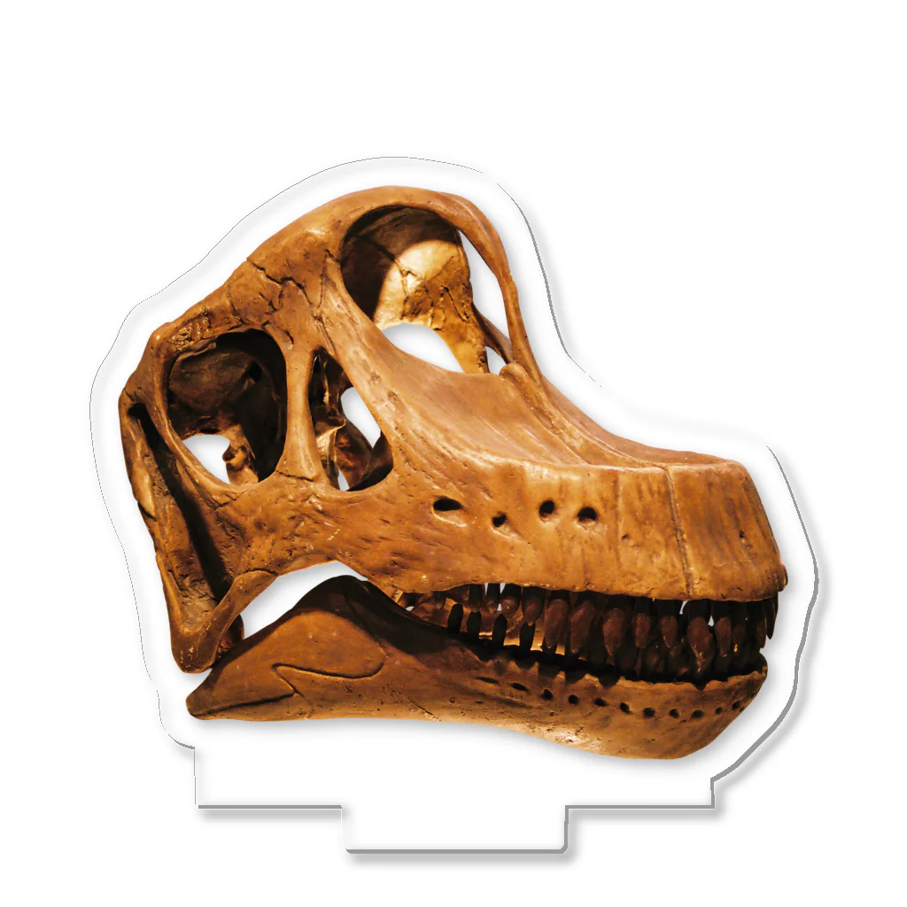 Rubbishのブラキオサウルス 頭骨 Acrylic Stand