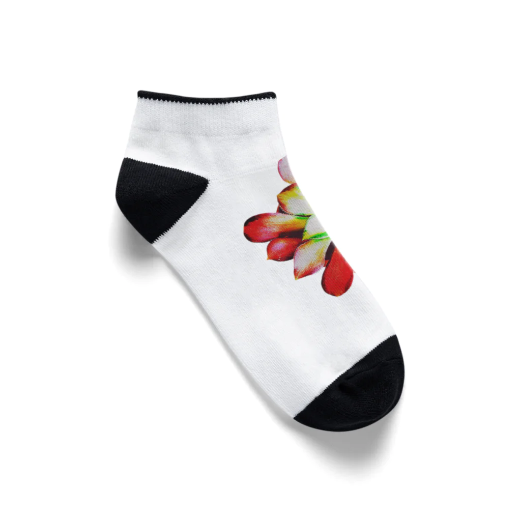 JaachanのSucculents series アエオニウム Ankle Socks