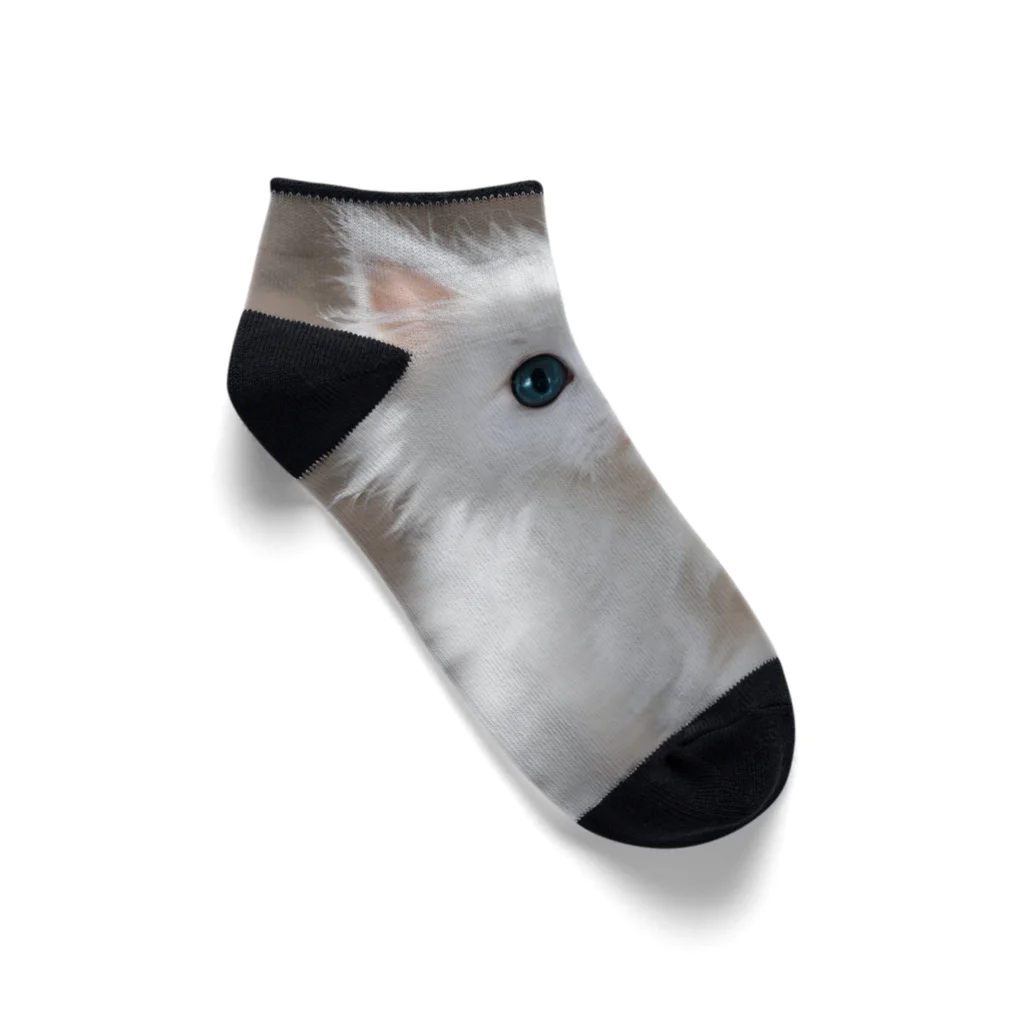 SkyBlueのキュートな子猫 Ankle Socks