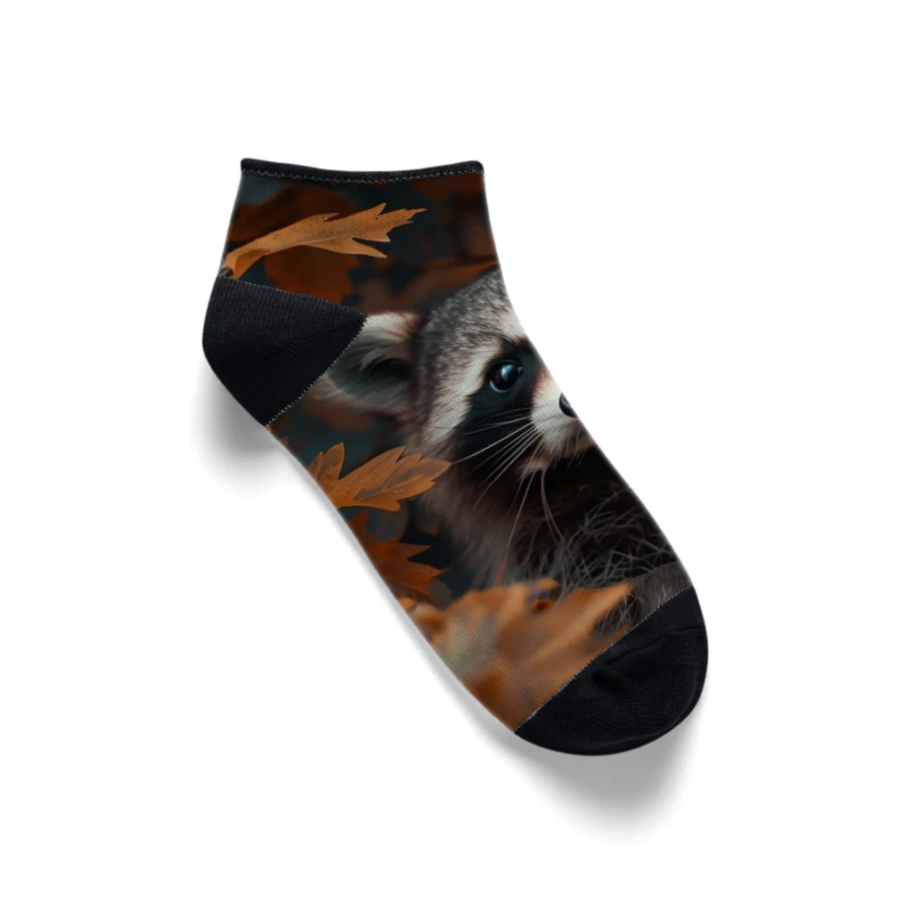 Raccoon Cool PlanetのRaccoon Cool Planet Ankle Socks