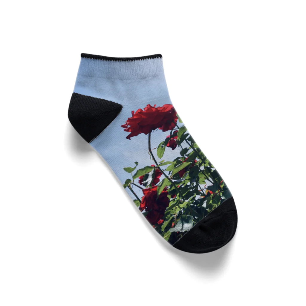 sAsA《空色風船物語*》の赤い薔薇と青い空 Ankle Socks