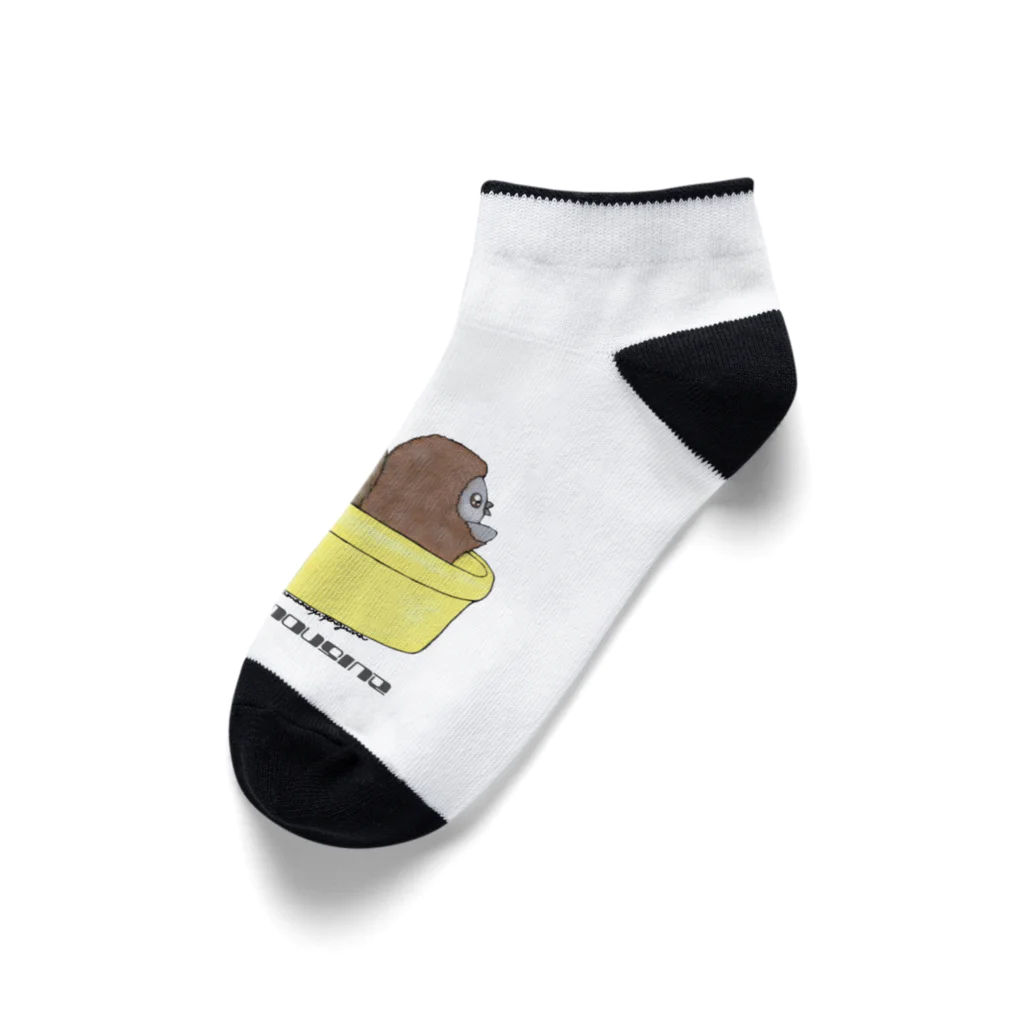 ヤママユ(ヤママユ・ペンギイナ)のタライリムジン(ケープ、マゼラン、フンボルト) Ankle Socks