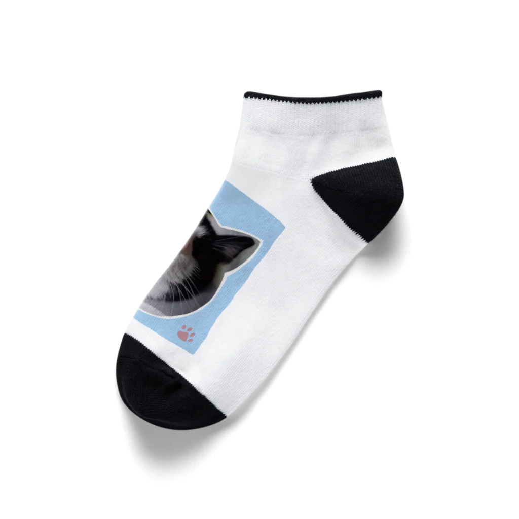 木ノ下商店の眠りこけた猫。2 Ankle Socks