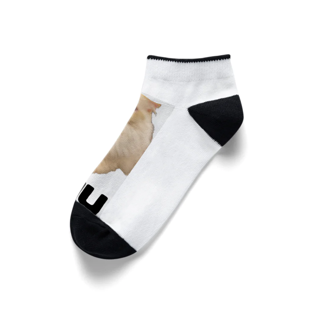 wasabisan0505の愛猫きぬきぬ君 Ankle Socks