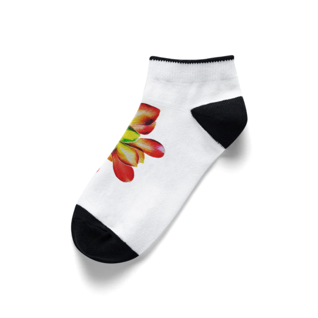 JaachanのSucculents series アエオニウム Ankle Socks