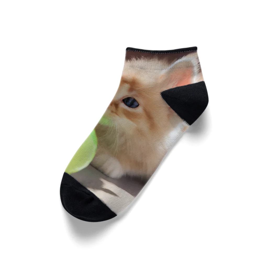 SkyBlueのもふもふな子猫 Ankle Socks