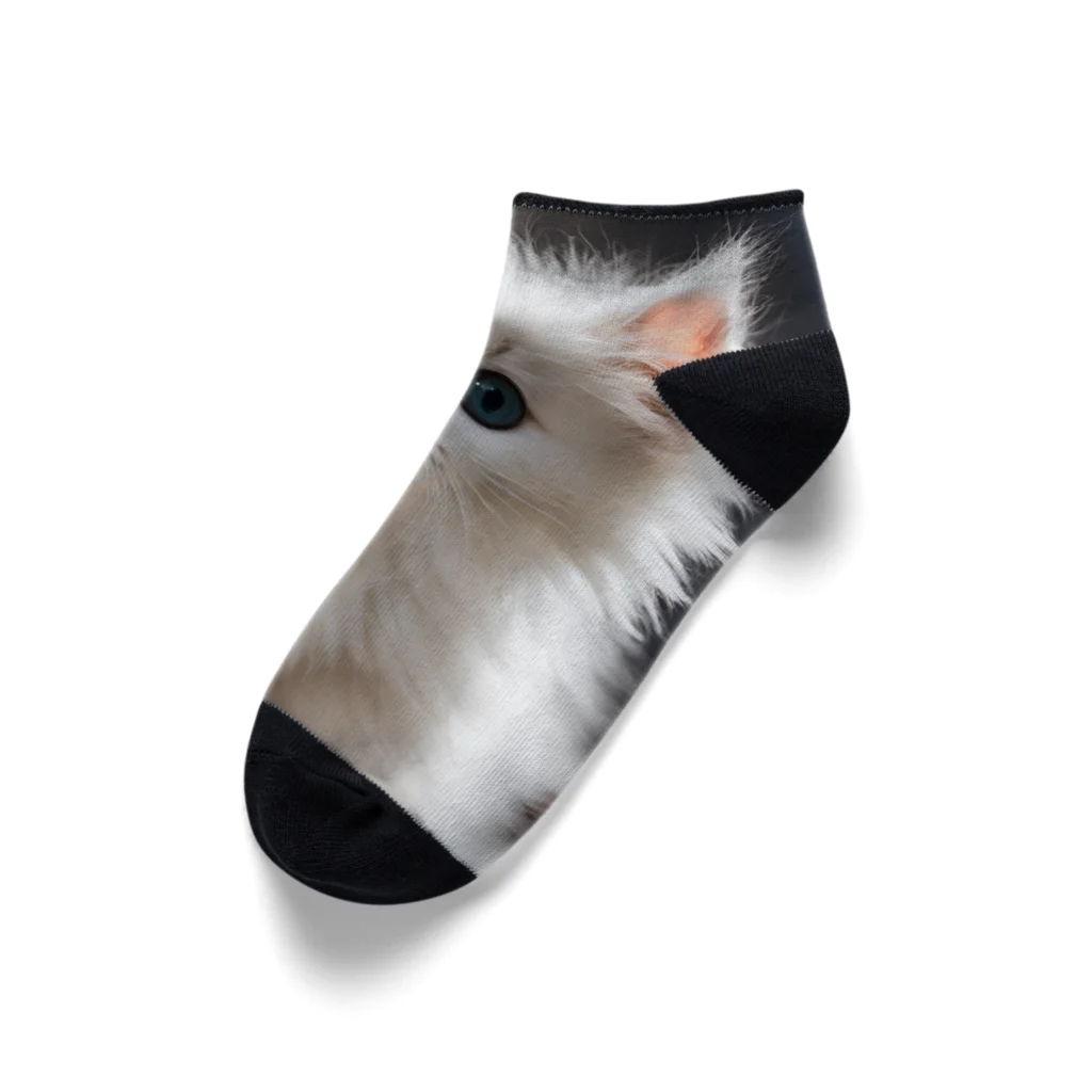 SkyBlueのキュートな子猫 Ankle Socks