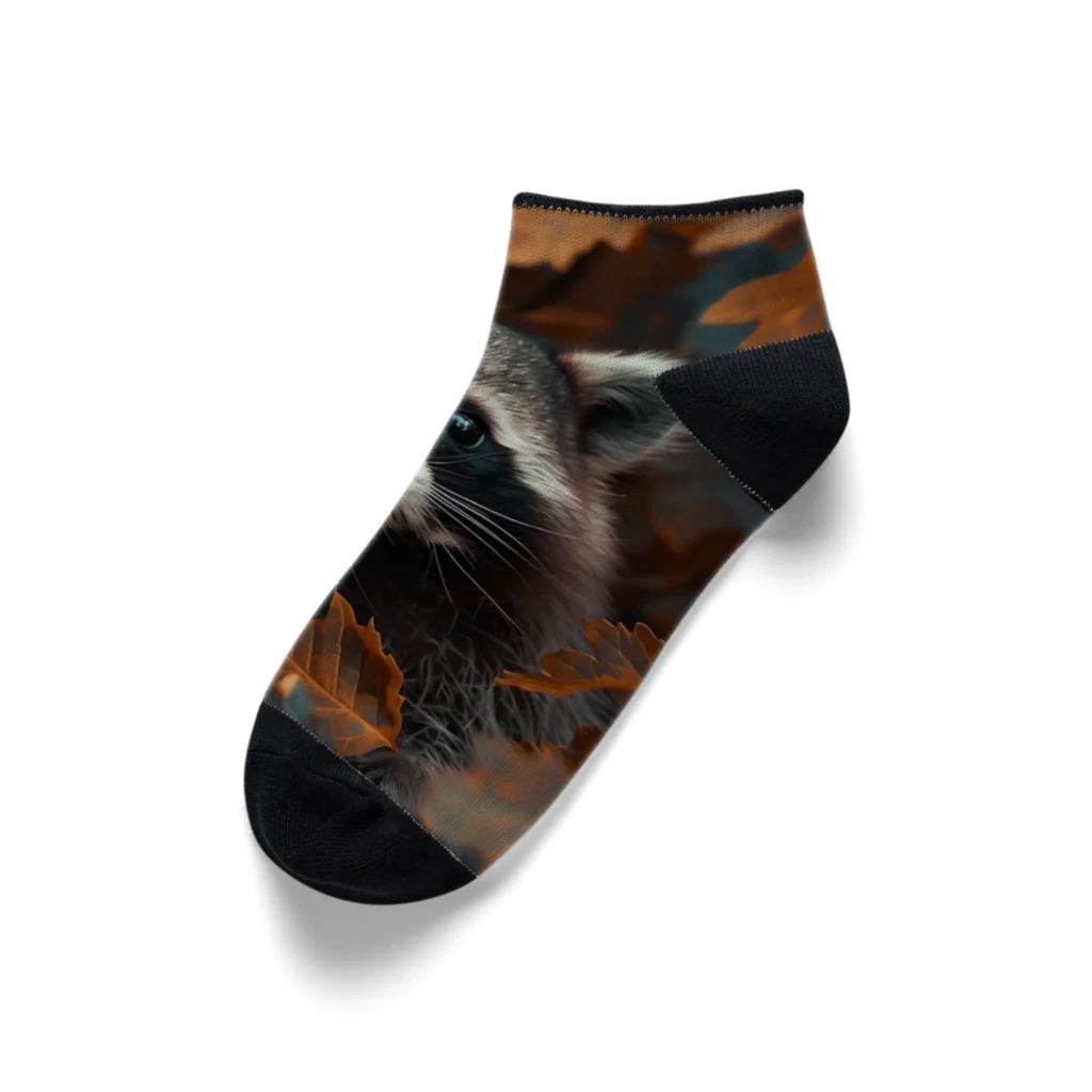 Raccoon Cool PlanetのRaccoon Cool Planet Ankle Socks