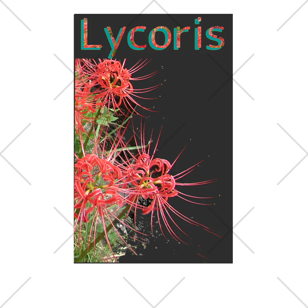 アニマル四字熟語のリコリス　彼岸花　LYCORIS くるぶしソックス