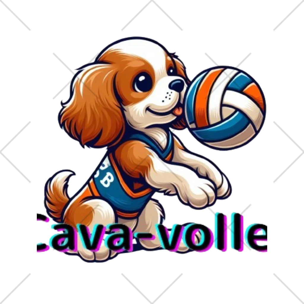 cava-sports　【キャバースポーツ】のcava-volley くるぶしソックス