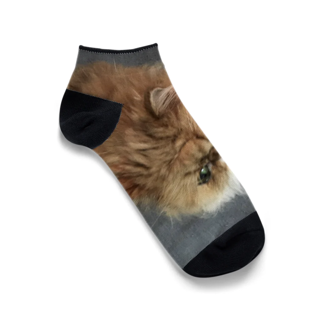 ぶちゃ猫・茶々丸オフィシャルショップのぶちゃ猫・茶々丸 Ankle Socks