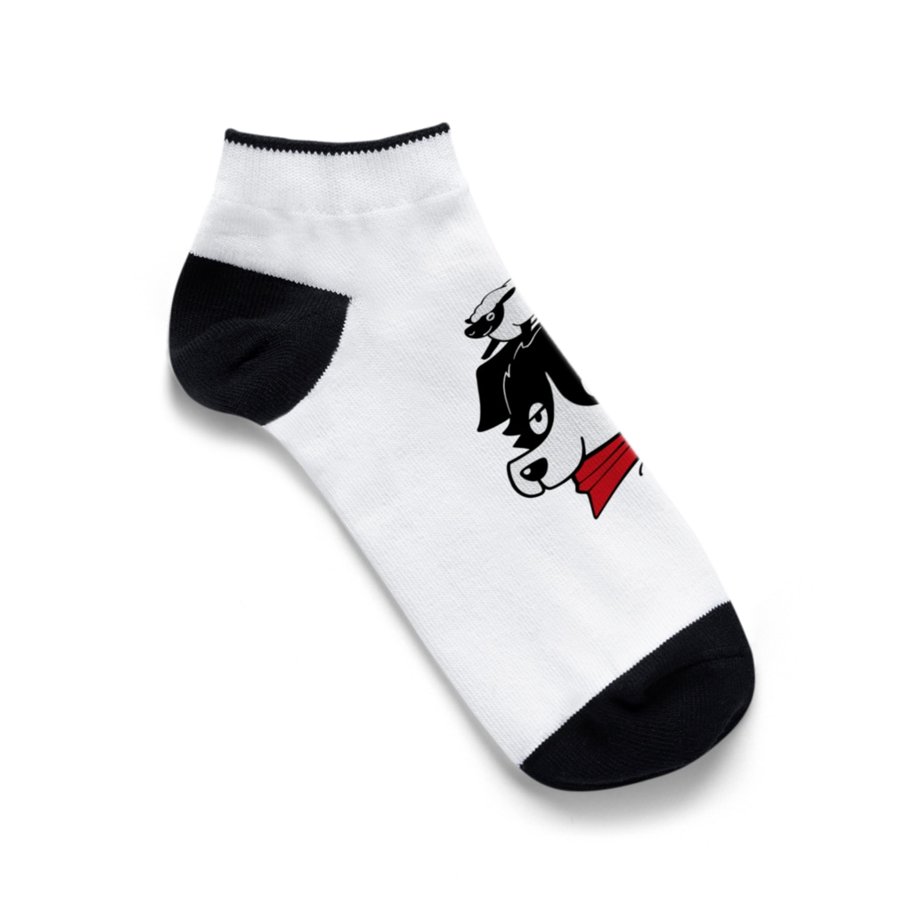kocoon（コクーン）の羊とボーダーコリー Ankle Socks