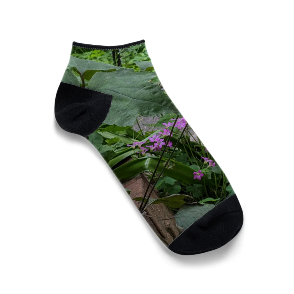 🌸さくらしめじ🍄 の池田ん家のミドリとピンク達 Ankle Socks