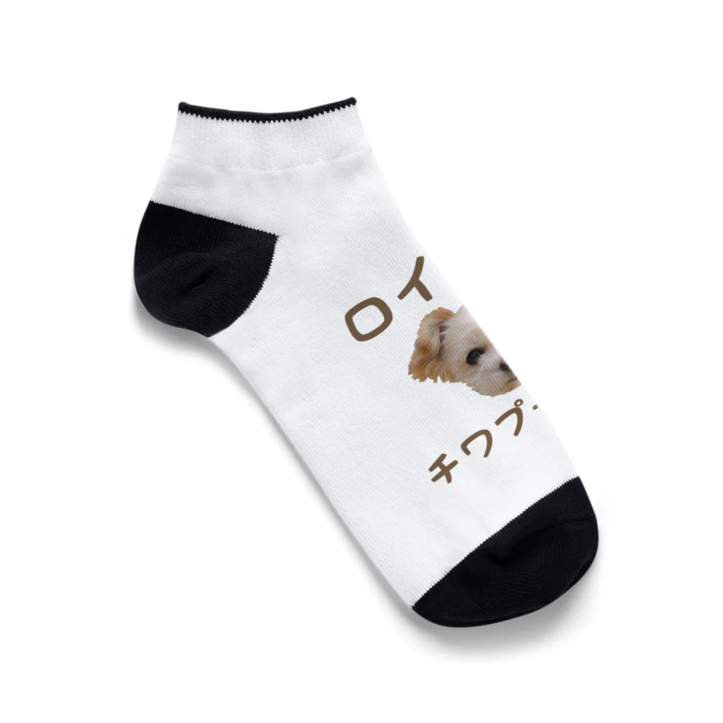 ロイとタオのみせの『ロイくんはチワプーです。』Ｄタイプ  Ankle Socks