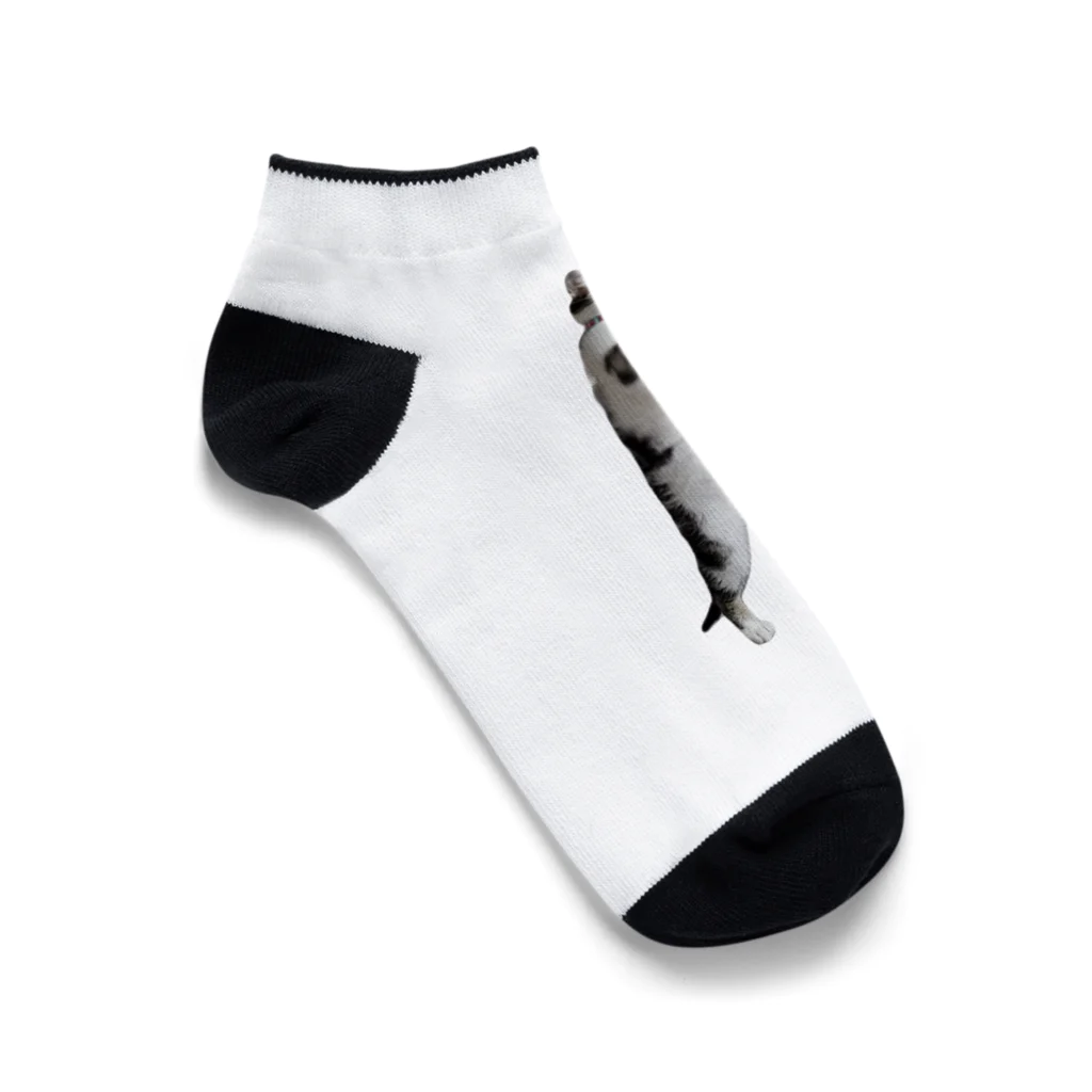 にゃんこの執事のとことこラテ Ankle Socks