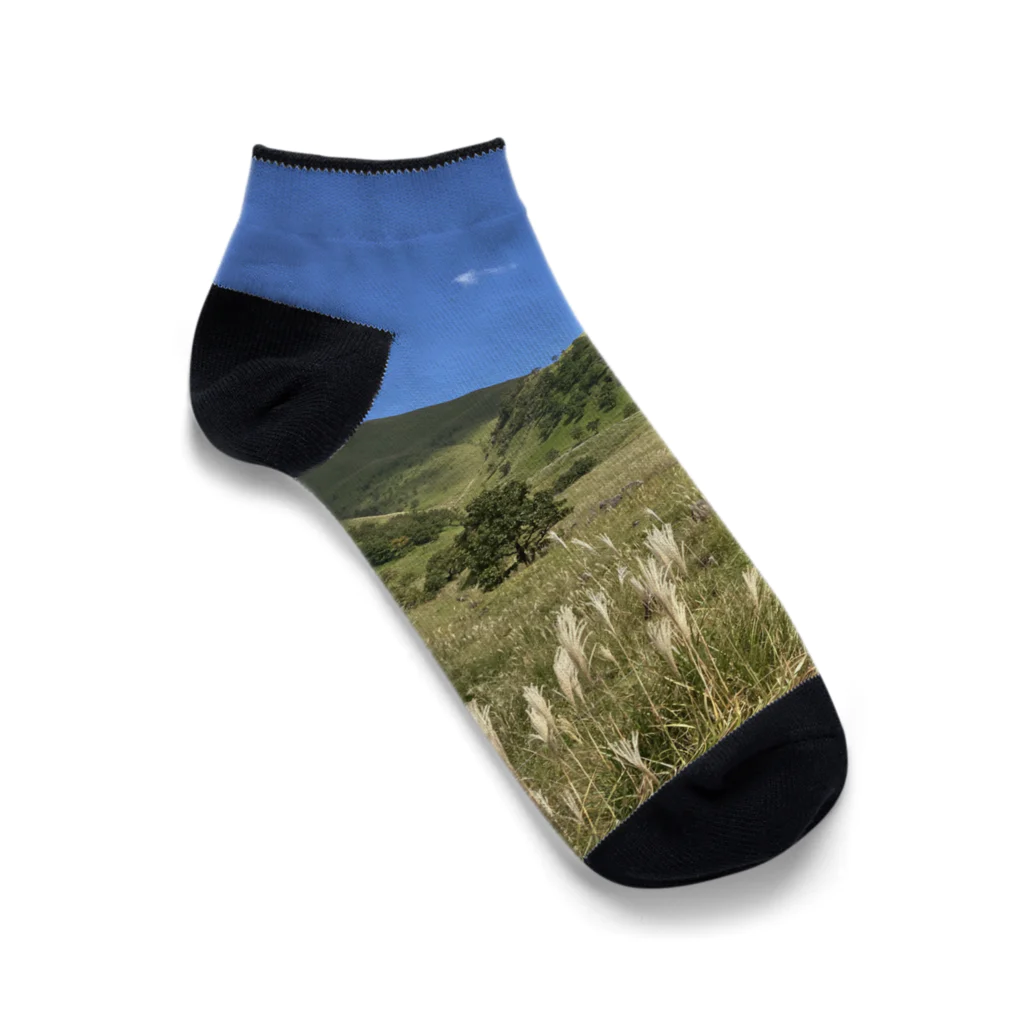 リコピン商店の大好きな山 Ankle Socks