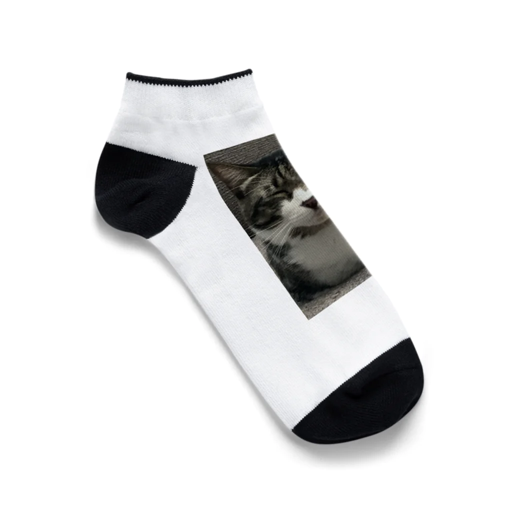 STOKEDのエイトくん😼 Ankle Socks