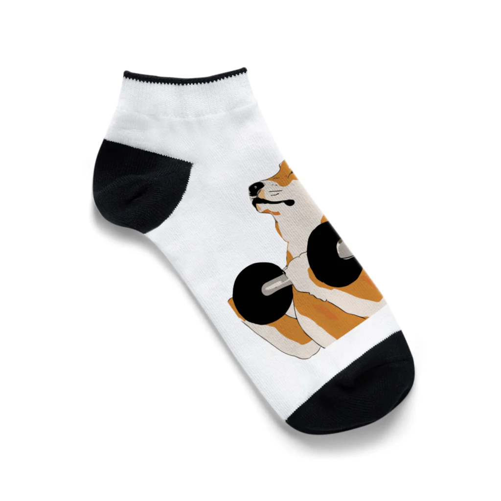 パンプアップ柴Hachiのパンプアップ柴Hachi Ankle Socks