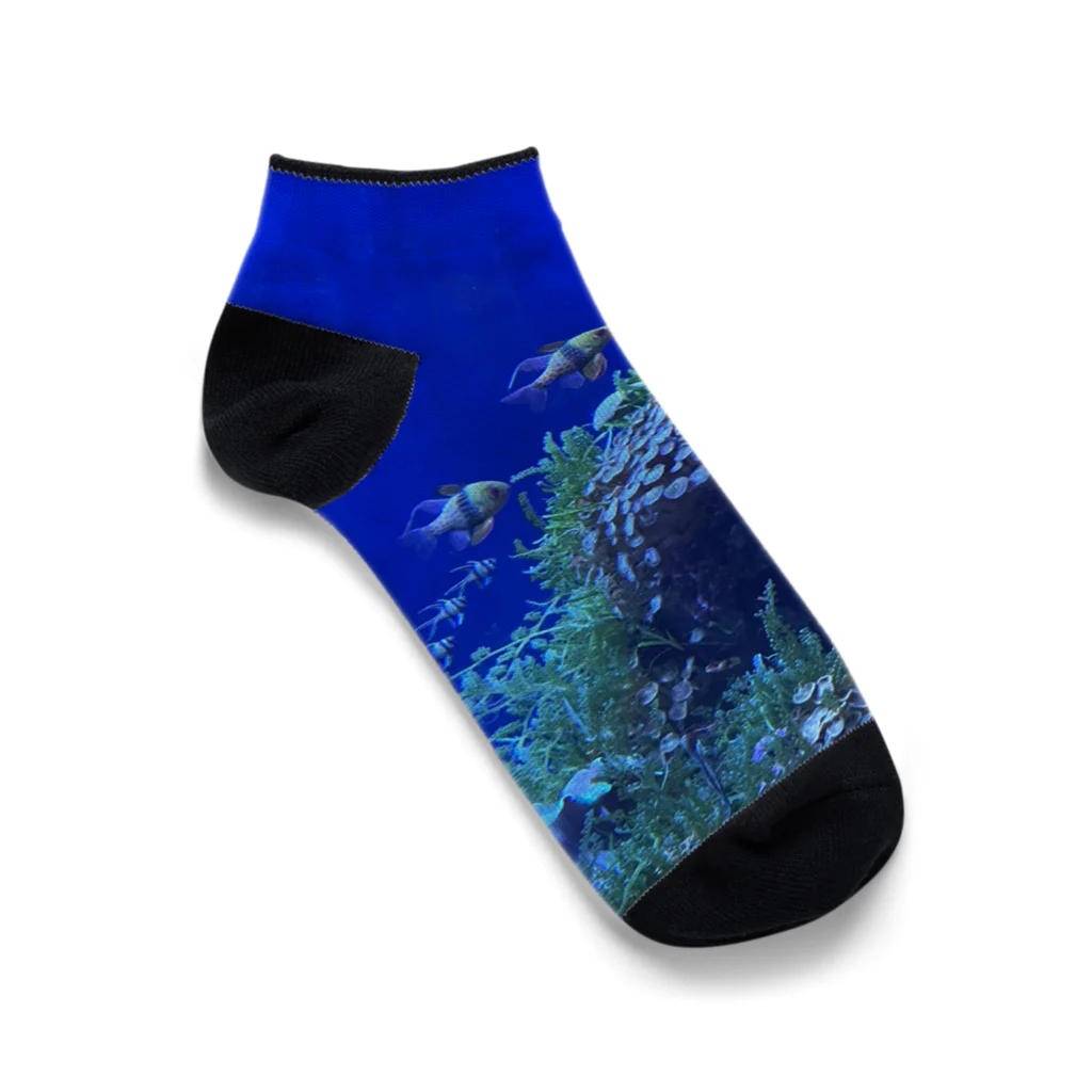 BOONee（ブーニー）の藍の世界♡ Ankle Socks