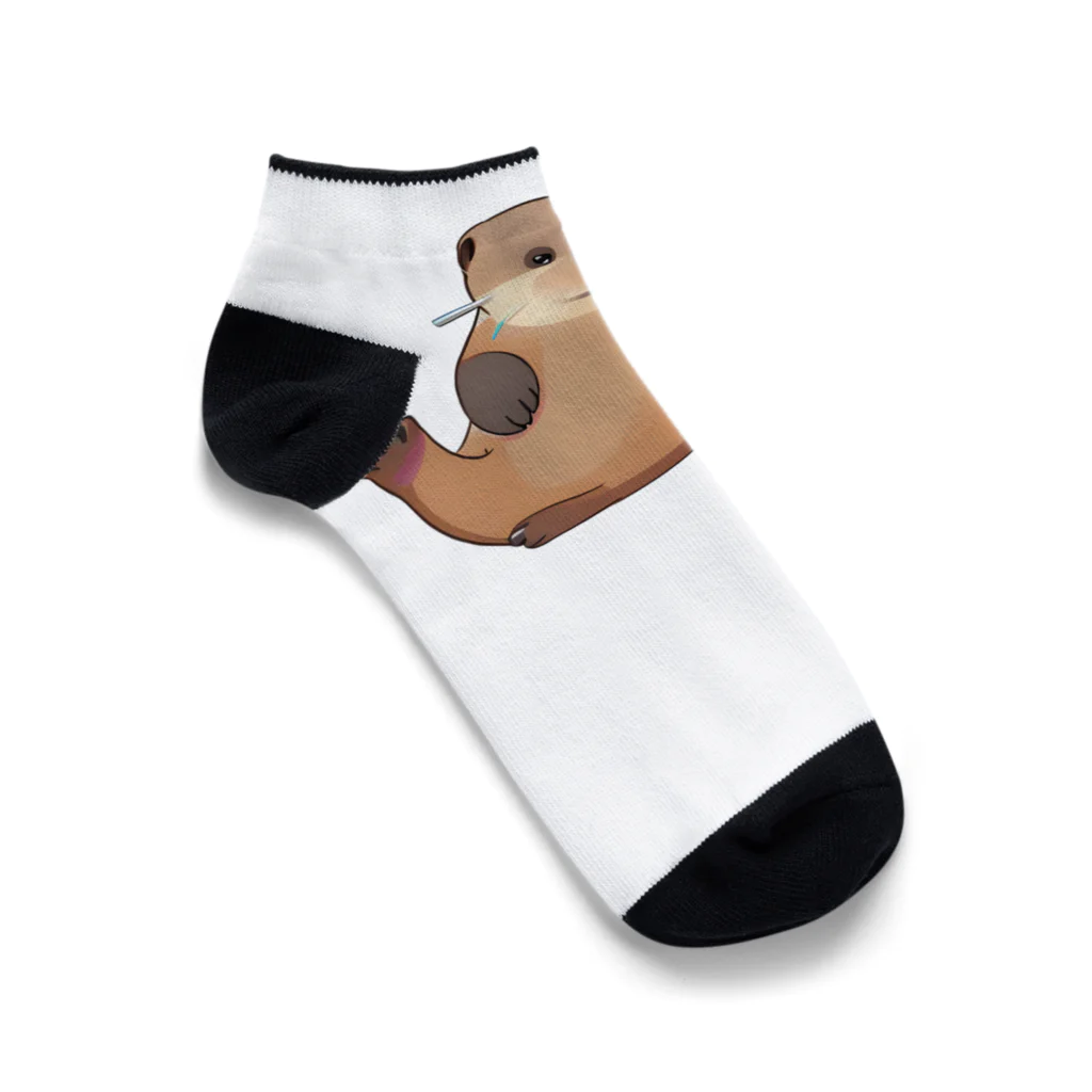 こじゃりデザイン事務所のつぶらなカワウソくん Ankle Socks