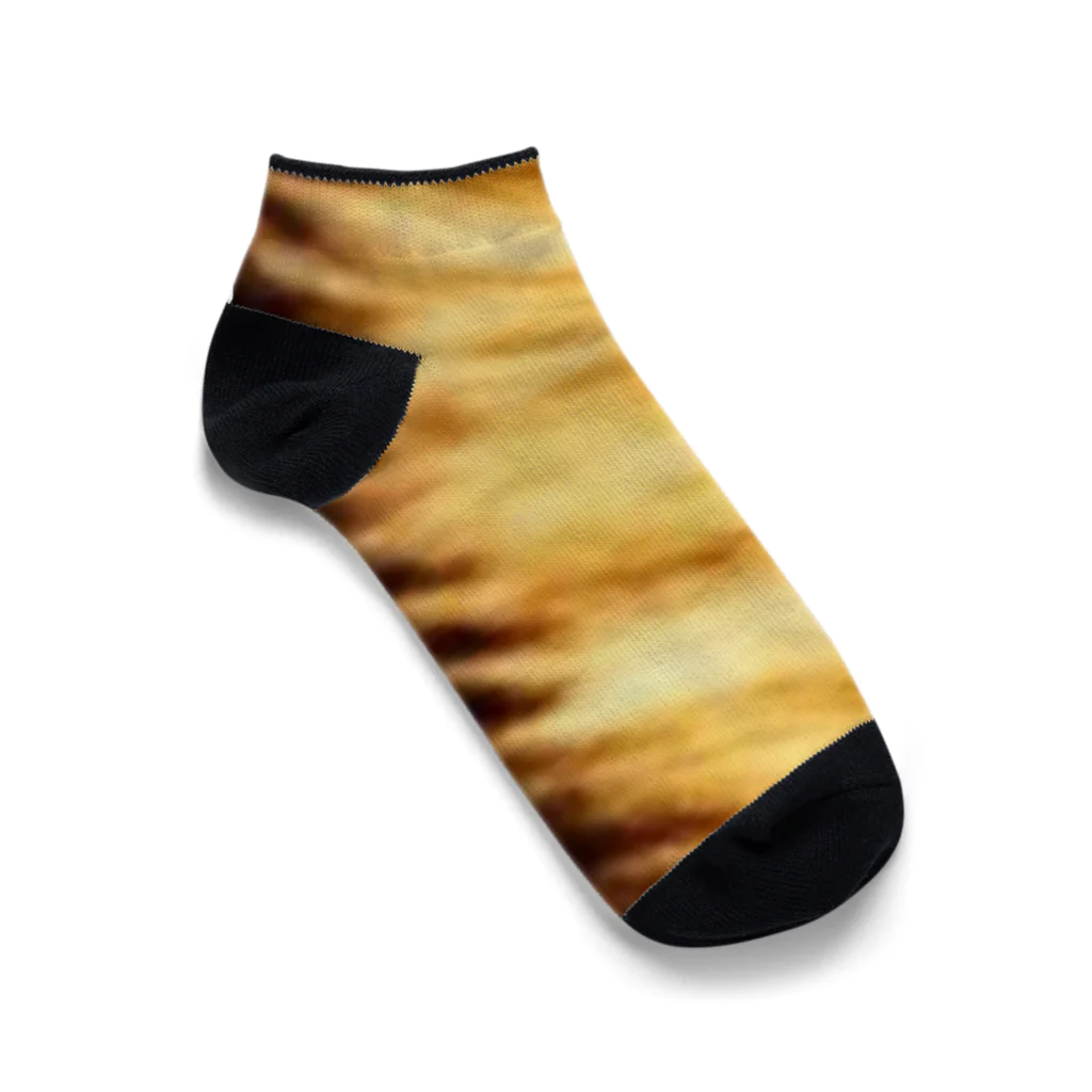 pandaのライオンの体毛 Ankle Socks
