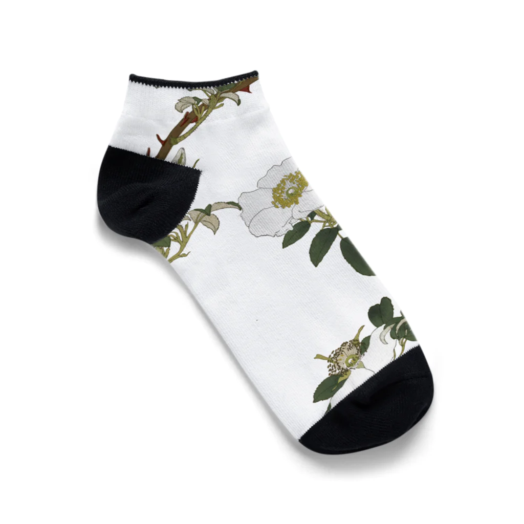 sachiko_goodsのなにはいばら Ankle Socks