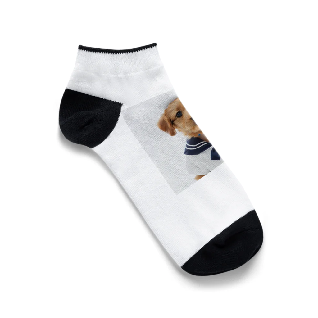 dogsandcatsのセーラーパピー Ankle Socks