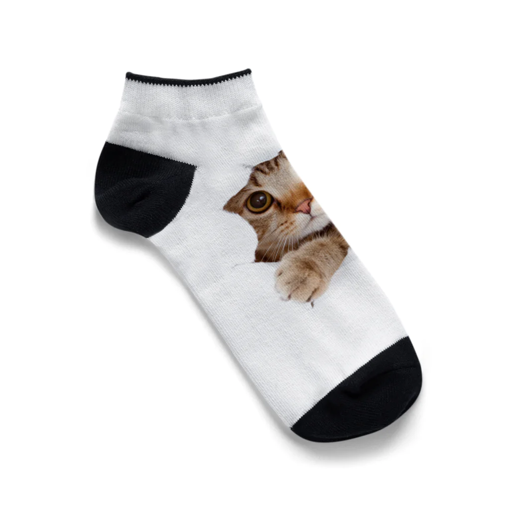 ただの猫好きのWhite Free Cute Funny Cat T-shirt Ankle Socks